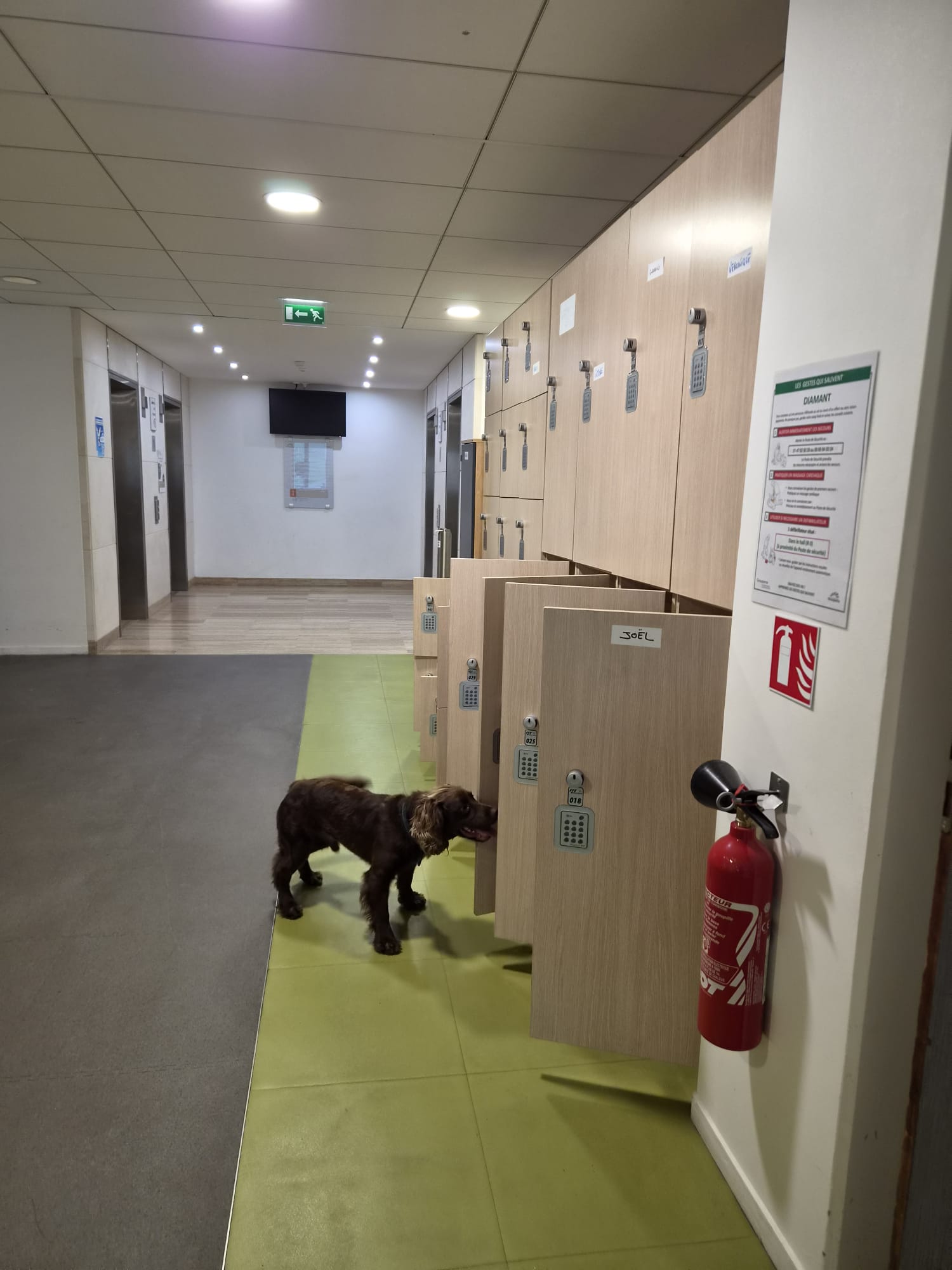 Zone d'intervention détection canine punaises de lit Paris et Île-de-France
