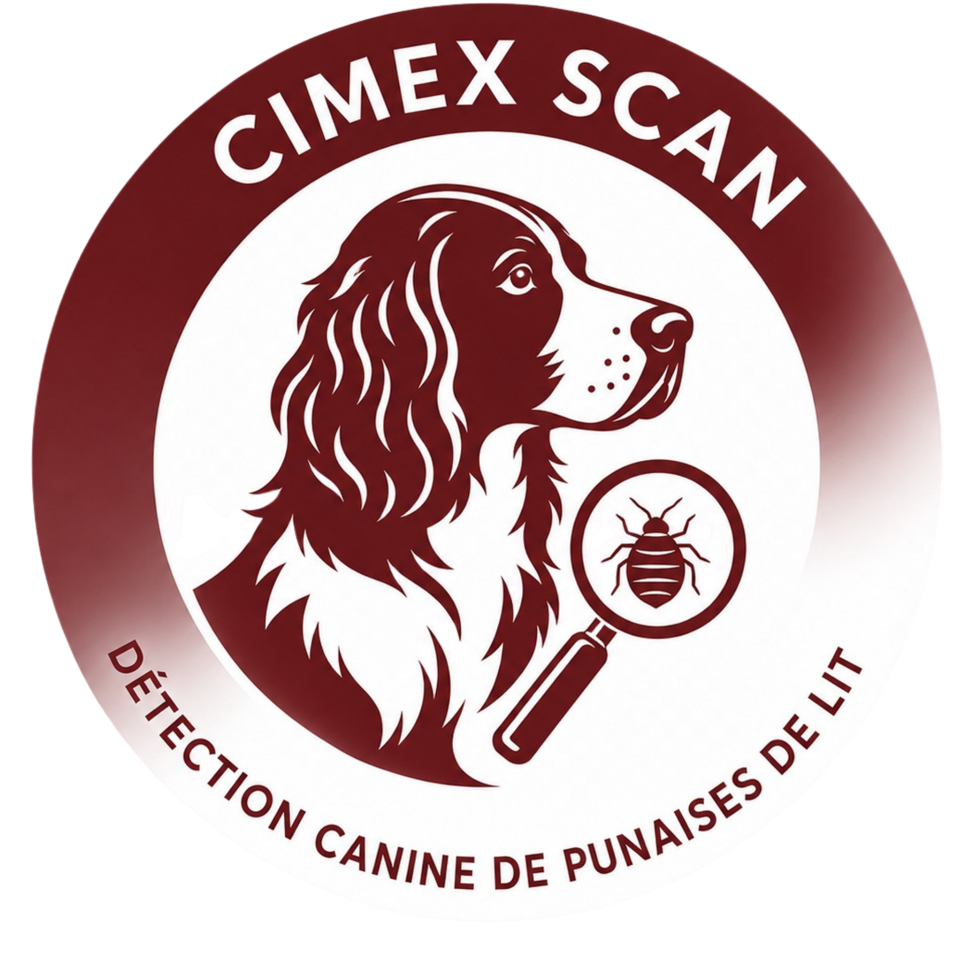 Logo CIMEX SCAN — détection canine de punaises de lit